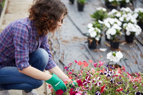Illustration representing accessible gardening information for Tooting Bec
