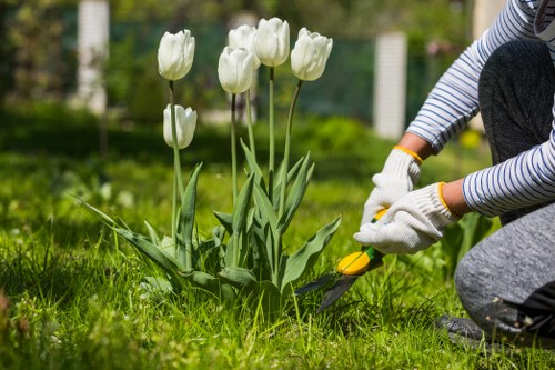 Trained gardeners in Tooting Bec using safe working methods