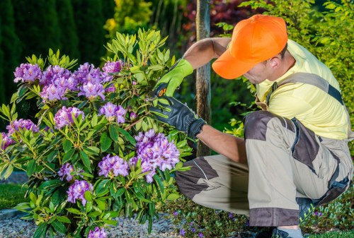 Gardeners Tooting Bec maintaining a healthy local garden
