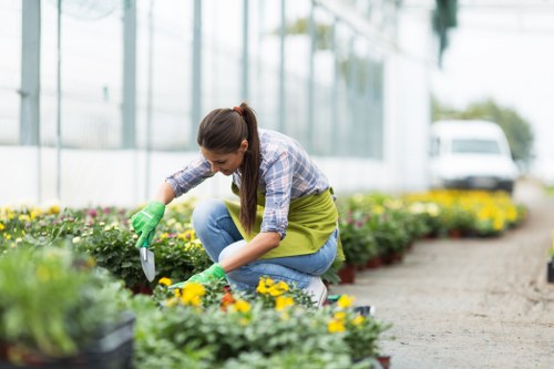 Tooting Bec gardener shaping an attractive outdoor space