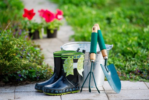 Healthy green lawn care in Tooting Bec garden