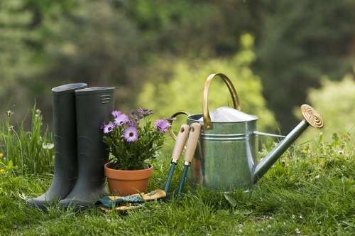 Landscape gardening in Tooting Bec with stylish planting and paved patio