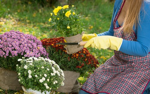 Sustainable gardening reuse and charity donation in the borough