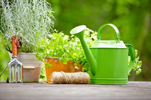 Seasonal lawn mowing in a Tooting Bec outdoor space