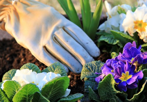 Visual for screen-reader-friendly content on Gardeners Tooting Bec