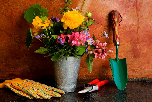 Detailed review of gardening work and service notes