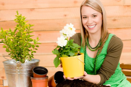 Seasonal gardening work in Tooting Bec with lawn and borders