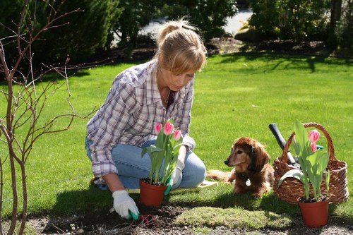 Free quote policy for Tooting Bec garden services