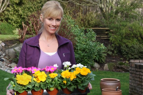 Annual review of modern slavery controls for Tooting Bec gardening services