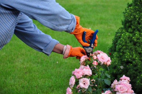 Front garden landscaping ideas for a Tooting Bec home
