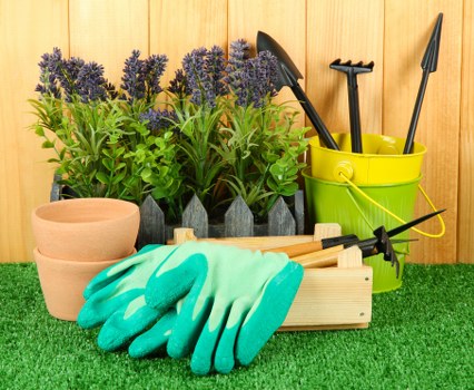 Soil aeration and lawn treatment for Tooting Bec lawns