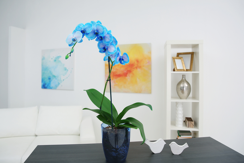 garden design garden care