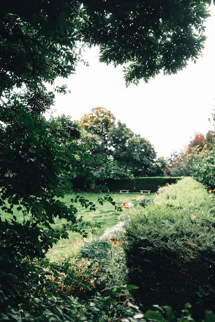 A lush garden scene taken during daylight shows a variety of well-maintained shrubs, bushes, and trees in different shades of green, with some displaying hints of autumnal red and orange foliage. In t
